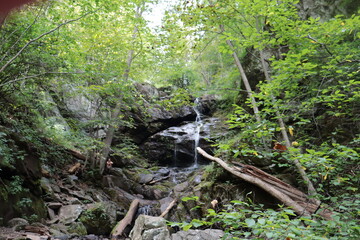 Stream Waterfall