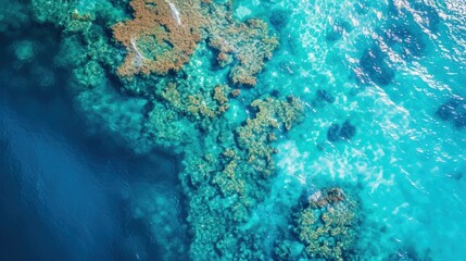 Coral reefs and turquoise waters from an aerial perspective. Copy Space.