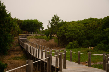 Fototapeta premium Passadiço