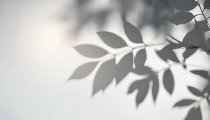 Fleeting Impressions: Tree Leaves in Soft Focus on Gray