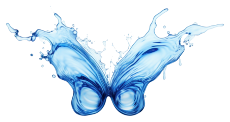 PNG Butterfly water wing simplicity.