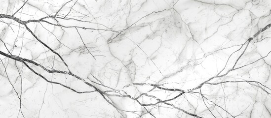 Marbled with elegant silver veins, the white natural marble texture showcases the intricate details of its natural composition.