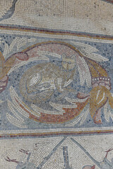 Oldest floor mosaic on church of the Apostles at Madaba, Jordan