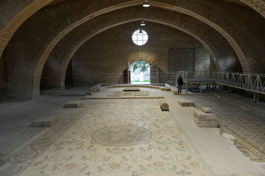 Oldest floor mosaic on church of the Apostles at Madaba, Jordan