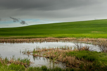 Ponds and farm lands on the prairie Kneehill County Alberta Canada