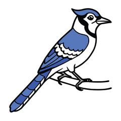 Blue jay siting on the tree stick coloring book page vector art illustration, solid white background
