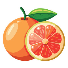 One and half Grapefruit vector art illustration, solid white background