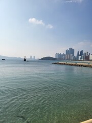 Naklejka premium sea