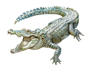 Naklejka premium crocodile watercolor digital painting good quality
