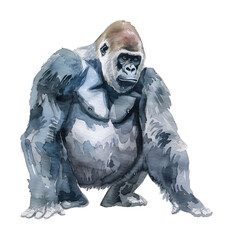 gorilla watercolor digital painting good quality