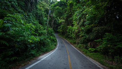 Asphalt rural road on mountain tropical forest