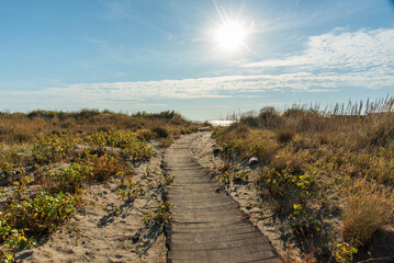 Fototapeta premium 2023 9 30 Lido walkway on the beach 6