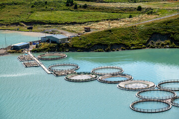 Fisheries at the reservoir of the Zaramagskaya HPP in the Kassar gorge. North Ossetia - Alania....