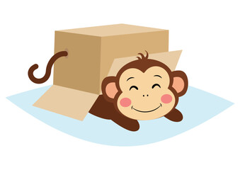 Cute monkey under cardboard box