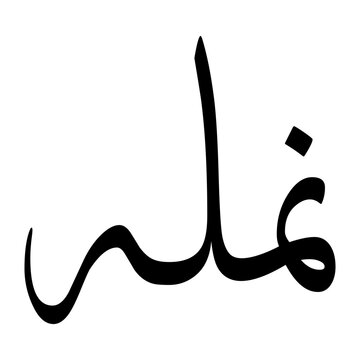 Naeem Muslim Boy Name Sulus Font Arabic Calligraphy