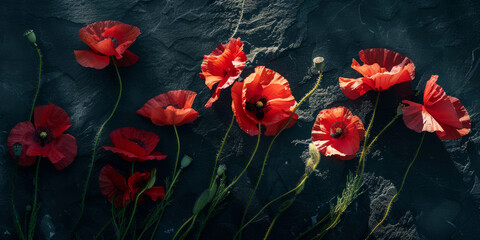 Red Poppies on Dark Slate Texture with Sunlight Shadows