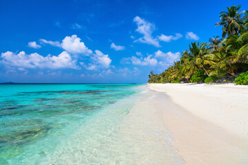 Beautiful tropical beach at Maldives - 803135991