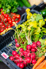 Red radish at market - 803137157