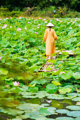 Woman at lotus flower lake - 803138549