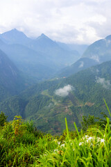 Rice terraces in northern Vietnam - 803138712