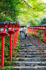 Red lanterns at Kifune Shrine