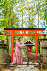 Woman feeding deer in Nara - 803139355
