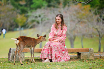 Woman feeding deer in Nara - 803139367