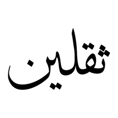 Saqlain Muslim Boy Name Sulus Font Arabic Calligraphy