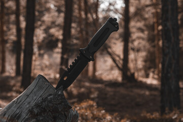 Knife stuck in a tree trunk in the forest.
