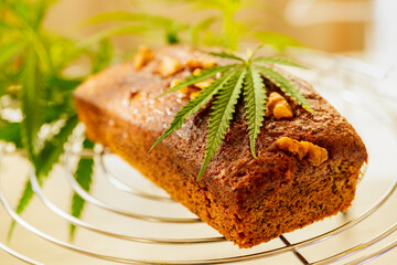 Freshly tasty baked bread with the addition of cannabis, decorated with hemp leaves and walnuts.