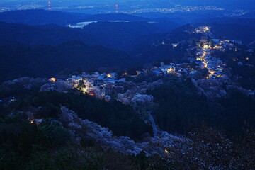 Night View of Pink Sakura Cherry Blossom on Mt. Yoshino or Yoshino-yama in Nara, Japan's Most...