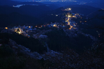 Night View of Pink Sakura Cherry Blossom on Mt. Yoshino or Yoshino-yama in Nara, Japan's Most Famous Cherry Blossom - 日本 奈良 吉野山の桜 春の景色 夜景