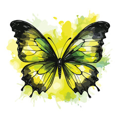 Watercolor butterfly vector illustration on white background.