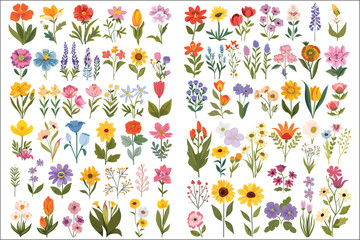 Spring flowers illustration colorful flower set, Vibrant Spring Florals Collection, Flower element design, Beautiful spring and summer flower