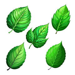 Set of green spring leaf art drawn on white background