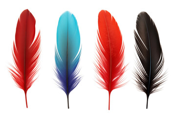 Groups of Birds Multicolor feathers PNG isolated on Transparent and white background - Birds Plumage Feather pattern