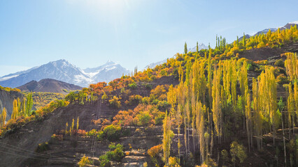 Obraz premium Scenery at a village in Pakistan In the autumn leaves change color