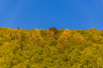 Fototapeta premium springtime nature sceneries along the way from Alesund to Trondheim, Norway