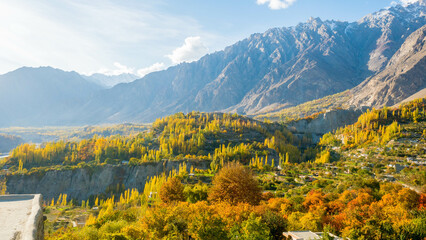 Scenery at a village in Pakistan In the autumn leaves change color