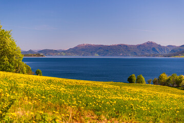  northern norway:nature sceneries on the road from Trondheim to Saebo