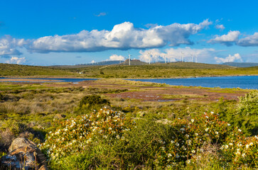 marshlands and wind farm on the hills surrounding Mersin Korfezi Bay near Alacati (Izmir province,...