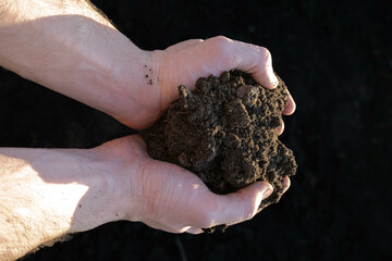 close up hand holding soil peat moss