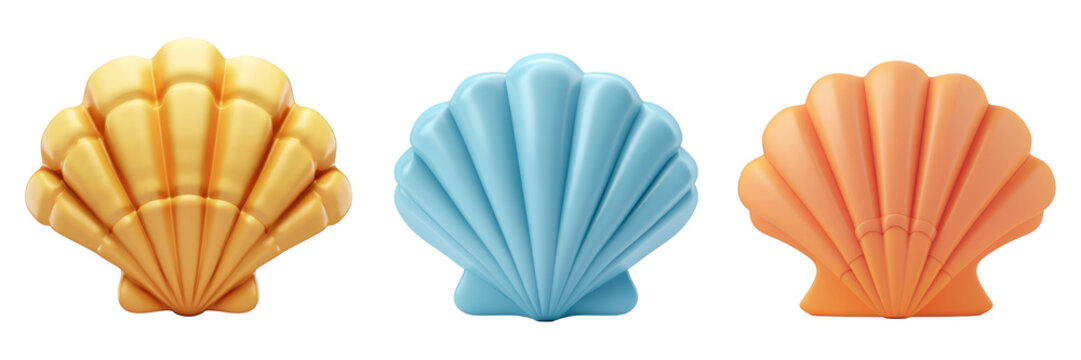 PNG seashell 3d icons and objects collection, in cartoon style minimal on transparent, white background, isolate