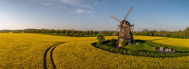 Panorama view of rapeseed field with three-story earth-hollander windmill. Banner from bright...