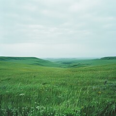 Fototapeta premium Green rolling hills under a grey sky