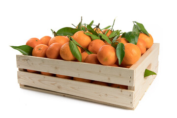 a small wooden crate of mandarin or nectarine oranges with leaves isolated on white
