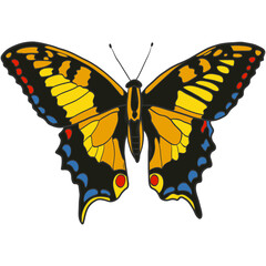 Hand drawn colorful butterfly isolated on white background for prints, stickers, sublimation, greeting cards, banners, posters, etc 
