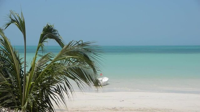 HD video of a tropical beach with white sand, a boat moored in the blue sea, palm leaves in the foreground moved by the wind, Holbox Mexico island