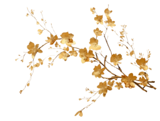 PNG  Floral flower plant gold.