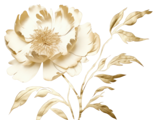 PNG  Peony art pattern flower.